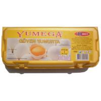 10 lu Kapalı Paket Yumurta